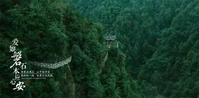 小猫钓鱼开船版最新版下载